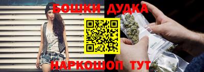 индика Гусиноозёрск