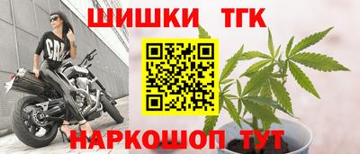 индика Гусиноозёрск