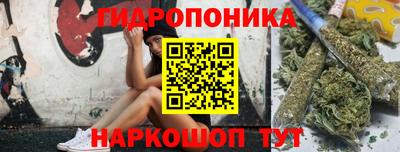 прущие крисы Гусев