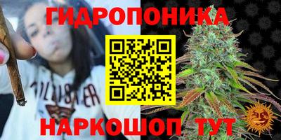 прущие крисы Гусев