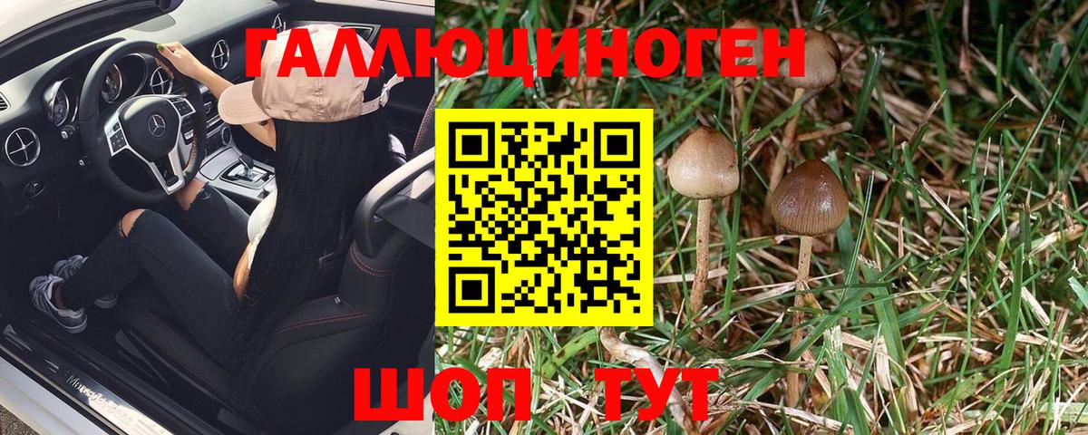 Нововоронеж  Галлюциногенные грибы Psilocybe  Вход с VPN  Псилоцибиновые грибы мицелий 