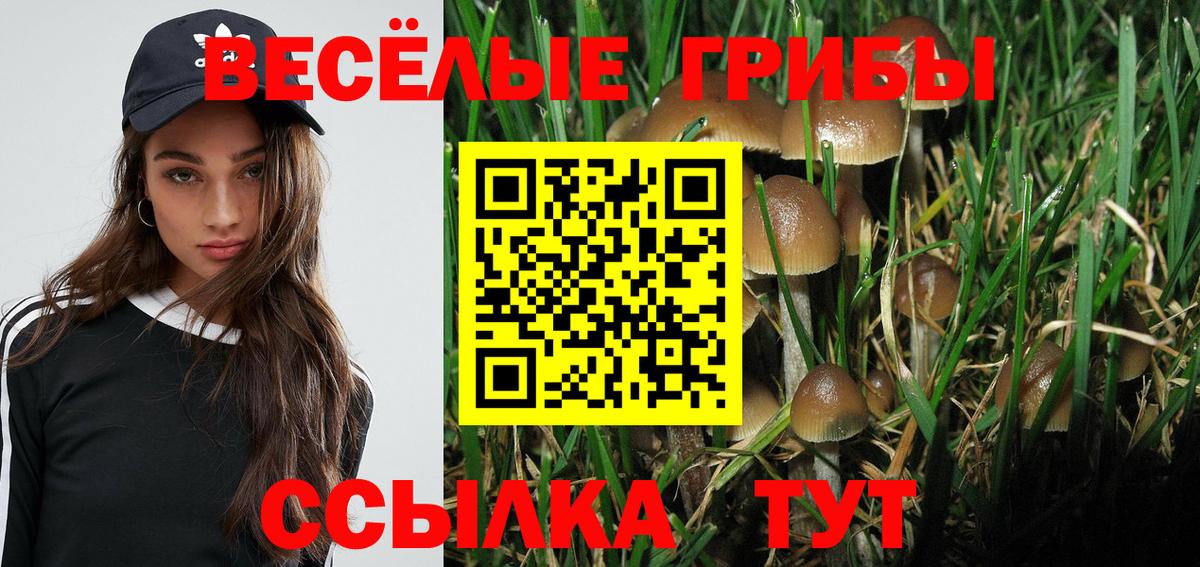 Галлюциногенные грибы мухоморы Нововоронеж