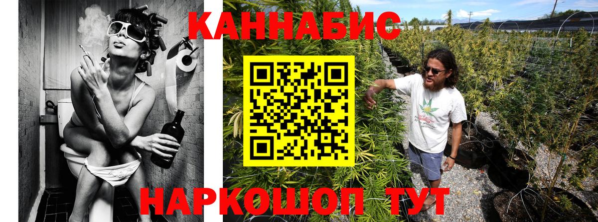 Марихуана марихуана  Бошки марихуана OG Kush  Нововоронеж  Бошки Шишки планчик  Вход с VPN 